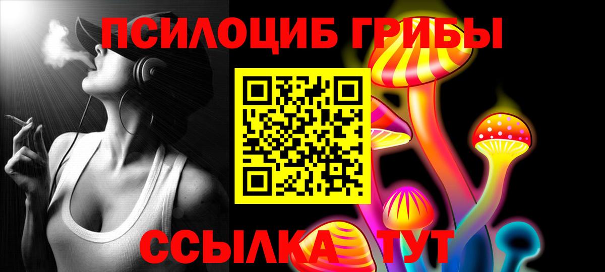 где купить   Галлюциногенные грибы прущие грибы  Вход с VPN  Можайск 